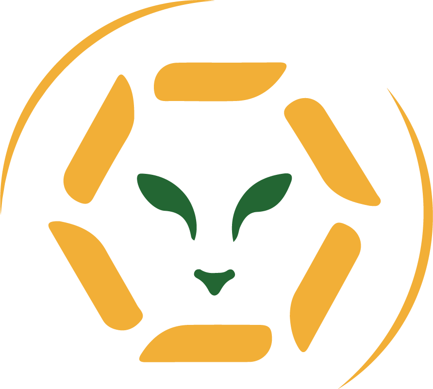 Leo Travel | Travel Agency